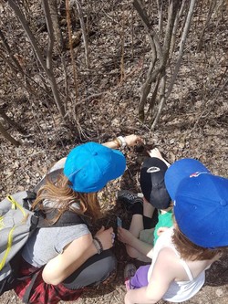 Learning about the ecosystem in our back yard.