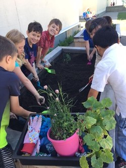 Gardening Club